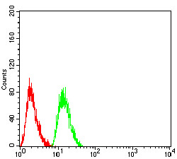 FC - Mouse Monoclonal Antibody to AKT1 AO2331a